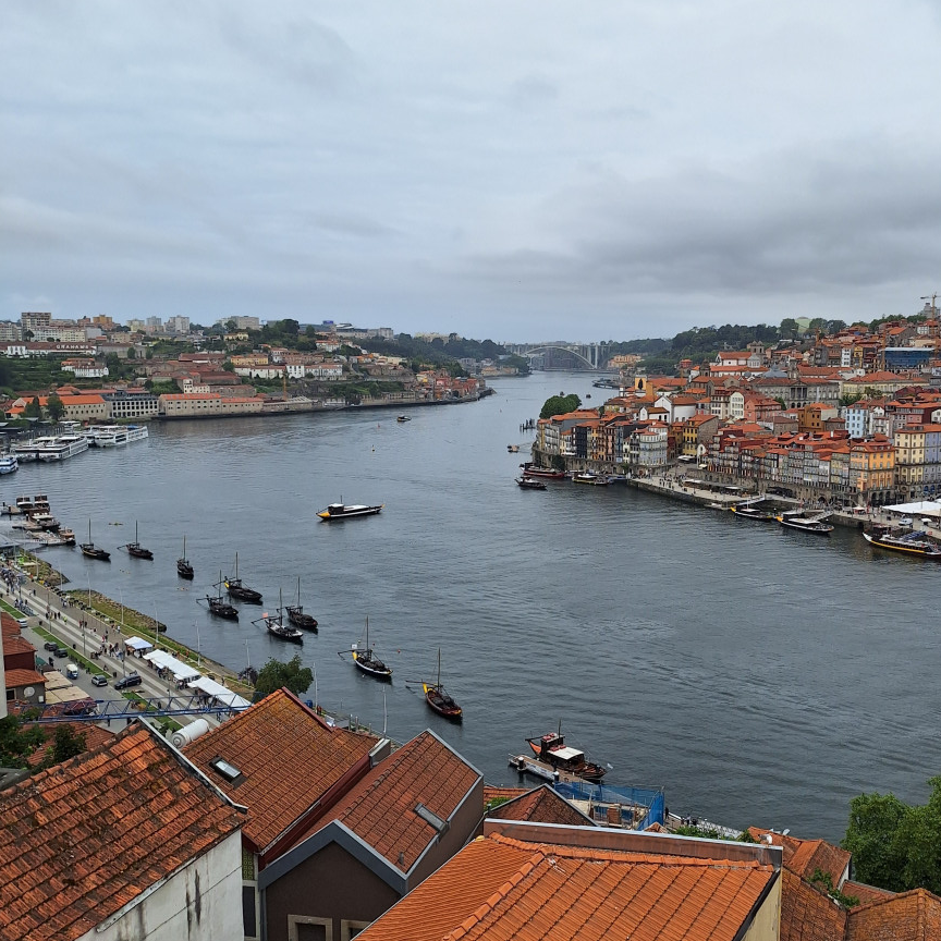 From north to south, a journey through Portugal's treasures in 14 days