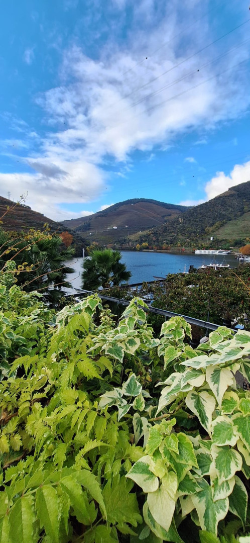 Douro