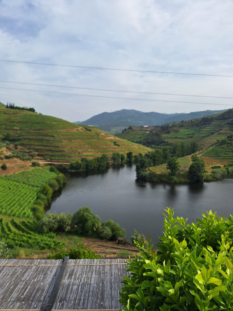 Douro